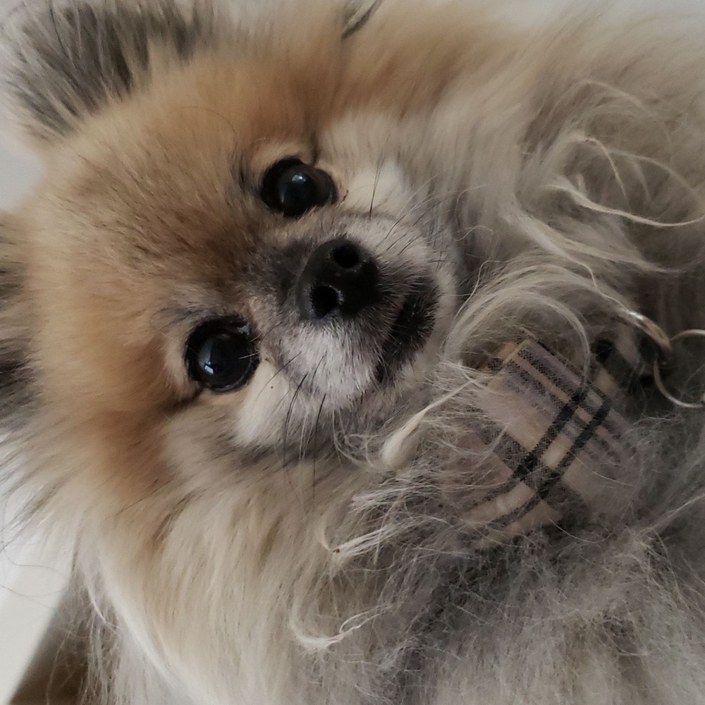 Meet your Posher, Christine